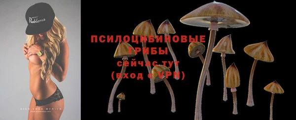 гидра Армянск