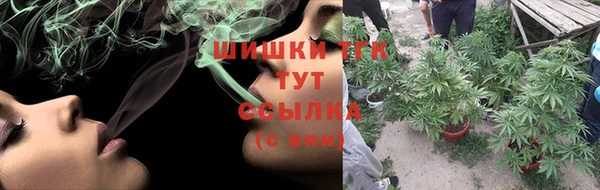 гидра Армянск